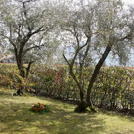 Sarnico Giardino Sul Lago Dış mekan fotoğraf